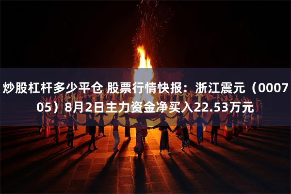 炒股杠杆多少平仓 股票行情快报：浙江震元（000705）8月2日主力资金净买入22.53万元