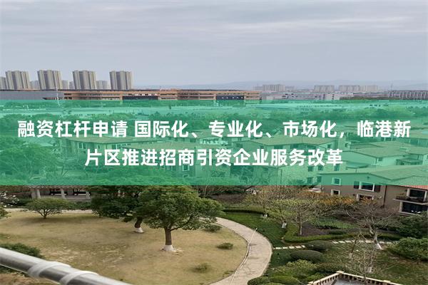 融资杠杆申请 国际化、专业化、市场化，临港新片区推进招商引资企业服务改革