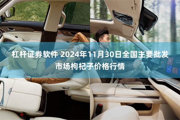 杠杆证券软件 2024年11月30日全国主要批发市场枸杞子价格行情