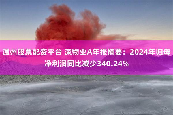 温州股票配资平台 深物业A年报摘要：2024年归母净利润同比减少340.24%