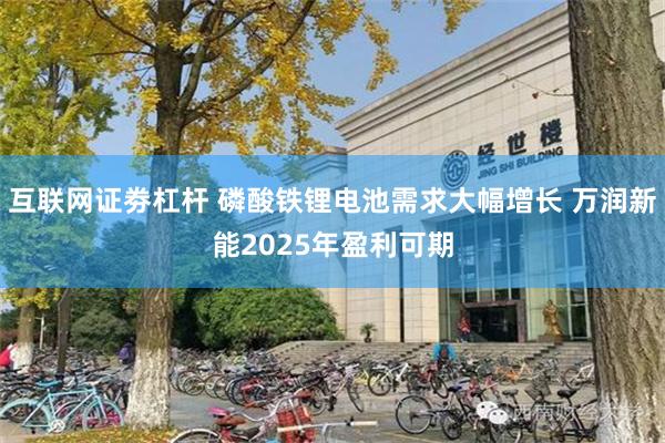 互联网证劵杠杆 磷酸铁锂电池需求大幅增长 万润新能2025年盈利可期