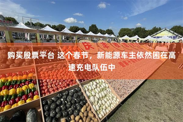 购买股票平台 这个春节，新能源车主依然困在高速充电队伍中