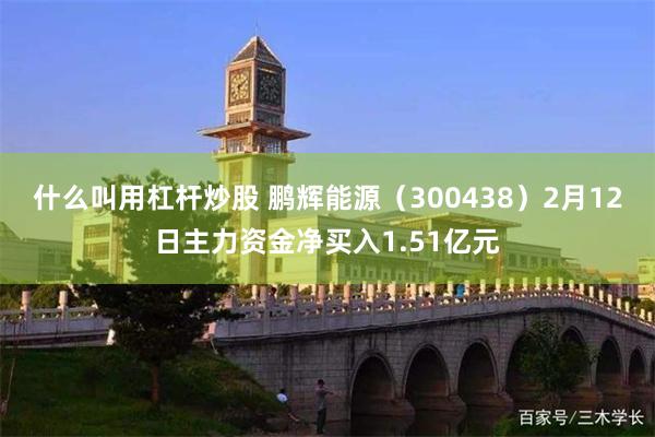 什么叫用杠杆炒股 鹏辉能源（300438）2月12日主力资金净买入1.51亿元