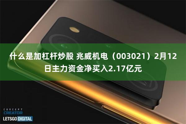 什么是加杠杆炒股 兆威机电（003021）2月12日主力资金净买入2.17亿元