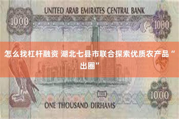 怎么找杠杆融资 湖北七县市联合探索优质农产品“出圈”