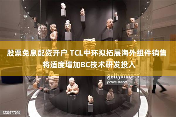 股票免息配资开户 TCL中环拟拓展海外组件销售  将适度增加BC技术研发投入