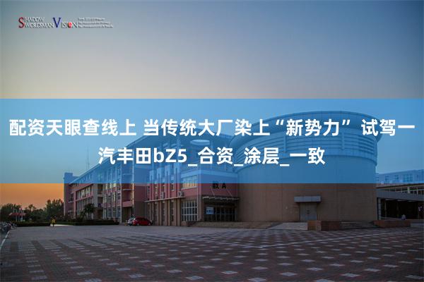 配资天眼查线上 当传统大厂染上“新势力” 试驾一汽丰田bZ5_合资_涂层_一致