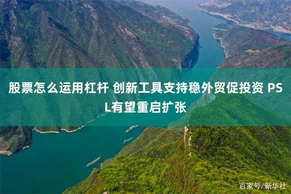 股票怎么运用杠杆 创新工具支持稳外贸促投资 PSL有望重启扩张