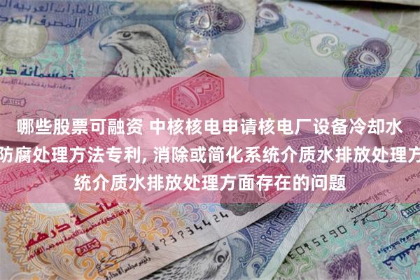 哪些股票可融资 中核核电申请核电厂设备冷却水系统金属材料防腐处理方法专利, 消除或简化系统介质水排放处理方面存在的问题