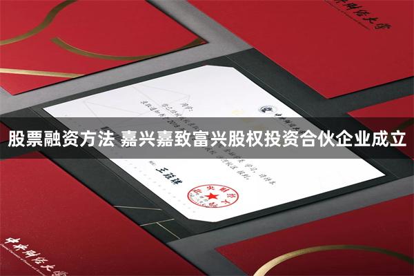 股票融资方法 嘉兴嘉致富兴股权投资合伙企业成立