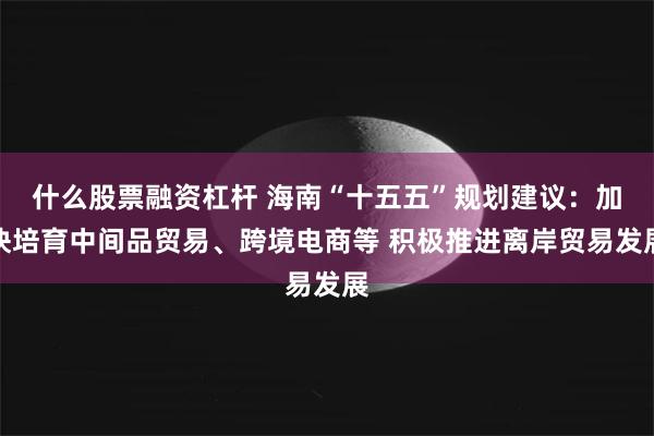 什么股票融资杠杆 海南“十五五”规划建议：加快培育中间品贸易、跨境电商等 积极推进离岸贸易发展